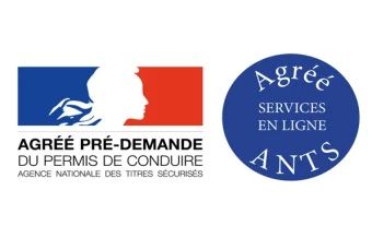 photo-studiolab-id-ants